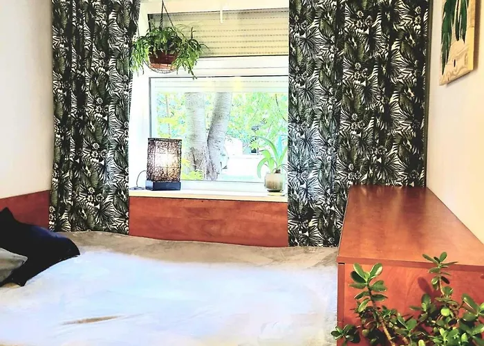 новая Appartement *